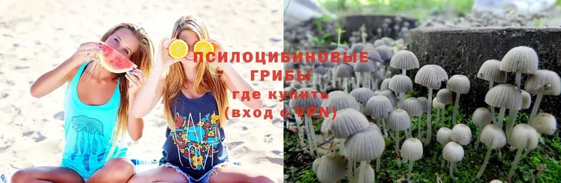 Галлюциногенные грибы Magic Shrooms  закладки  Уяр 